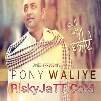 Pony Waliye Raja Baath MP3 Song, Pony Waliye Album