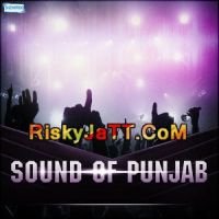 Sapp Gutt Da Himmat Singh MP3 Song, Sound of Punjab Album