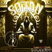 Desi Gangsta Soltan MP3 Song, Soltan Album