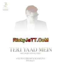 Teri Yaad Mein Sunny Brown MP3 Song, Teri Yaad Mein Album