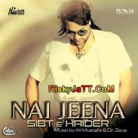 Lagay Na Ye Dil Sibt E Haider MP3 Song, Nai Jeena Album