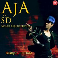 Aja Sonu Dangerous MP3 Song, Aja Album