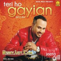 Heer Jeeta Gill MP3 Song, Teri Ho Gayian (2015) Album