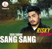 Sang Sang Sebi Sidhu MP3 Song, Sang Sang Album