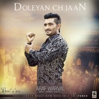B A Araf Warval MP3 Song, Doleyan Ch Jaan Album