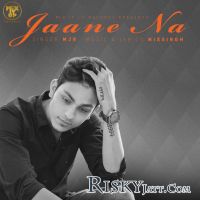 Jaane Na MJR MP3 Song, Jaane Na Album
