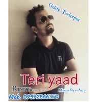 Teri yaad Goldy Toderpur MP3 Song, Teri yaad Album