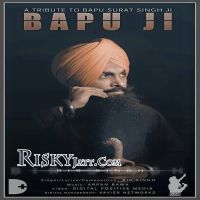 Bapu Ji Bir Singh MP3 Song, Bapu Ji Album