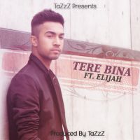 Tere Bina Ft Elijah Tazzz MP3 Song, Tere Bina Album