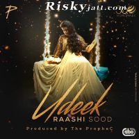 Udeek Ft the Prophe C Raashi Sood MP3 Song, Udeek Album