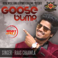 Goose Bump Raas Chaawla MP3 Song, Goose Bump Album