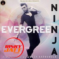 Evegreen Ninja MP3 Song, Evegreen Album
