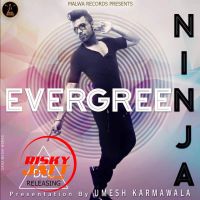 Tere Naam Ninja MP3 Song, Evegreen Album