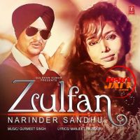 Zulfan Narinder Sandhu MP3 Song, Zulfan Album
