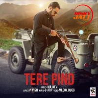Tere Pind Ma-Nev MP3 Song, Tere Pind Album