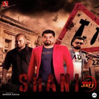 Shani Bhinda Kotla MP3 Song, Shani Album