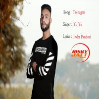 Teenagers Bhinda Aujla MP3 Song, Teenagers Album