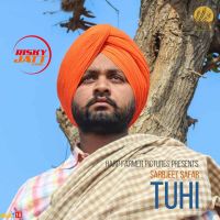 Tuhi Sarbjeet Safar MP3 Song, Tuhi Album