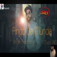 Pinda De Munde Avtar Sagi MP3 Song, Pinda De Munde Album