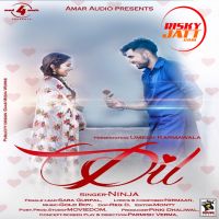 Dil Ninja MP3 Song, Dil Album