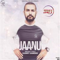 Jaanu Garry Sandhu MP3 Song, Jaanu Album