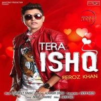 Tera Ishq Feroz Khan MP3 Song, Tera Ishq Album