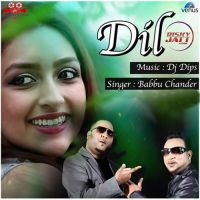 Dil Babbu Chander MP3 Song, Dil Album