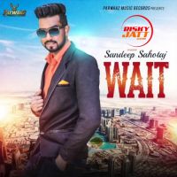 Wait Sandeep Sahotaj MP3 Song, Wait Album