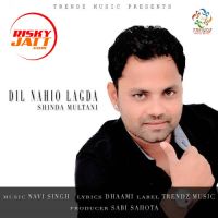 Dil Nahio Lagda Shinda Multani, Navi Singh MP3 Song, Dil Nahio Lagda Album