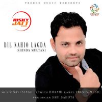 Dil Nahio Lagda Shinda Multani, Navi Singh MP3 Song, Dil Nahio Lagda Album