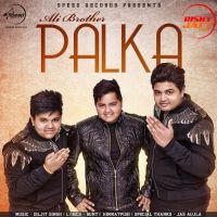 Palka Ali Brothers MP3 Song, Palka Album
