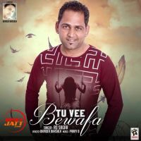 Tu Vee Bewafa Rd Sagar MP3 Song, Tu Vee Bewafa Album