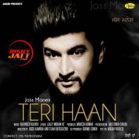 Teri Haan Jass Manes MP3 Song, Teri Haan Album