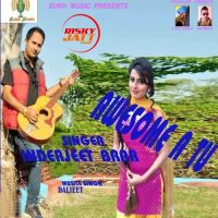 Awesome A Tu InderJeet Brar MP3 Song, Awesome A Tu Album