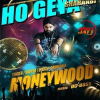 Ho Gey Sharaabi MoneyWood MP3 Song, Ho Gey Sharaabi Album