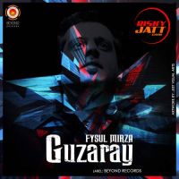 Guzaray Fysul Mirza MP3 Song, Guzaray Album