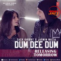 Dum Dee Dee Dum Zack Knight, Jasmin Walia MP3 Song, Dum Dee Dee Dum Album