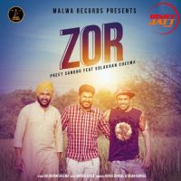 Zor Bhinda Aujla, Preet Sandhu MP3 Song, Zor Album