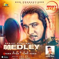 Medley Sanjay Dhaliwal MP3 Song, Medley Album