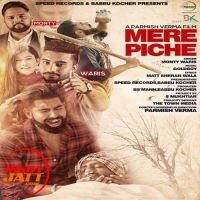 Mere Piche Monty, Waris MP3 Song, Mere Piche Album