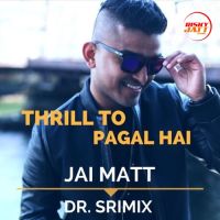 Thrill To Pagal Hai Jai Matt, Dr. Srimix MP3 Song, Thrill To Pagal Hai Album