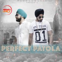 Perfect Patola Raunaq Singh, D-Harsh MP3 Song, Perfect Patola Album