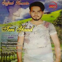 Teri Yaad Sujjad Hussain MP3 Song, Teri Yaad Album