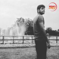 Mere Piche Remix DJ Karan Bir MP3 Song, Mere Piche Remix Album
