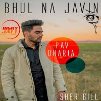 Bhul Na Javin (Cover) Pav Dharia MP3 Song, Bhul Na Javin (Cover) Album