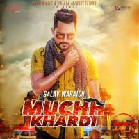 Muchh Khardi Galav Waraich MP3 Song, Muchh Khardi Album