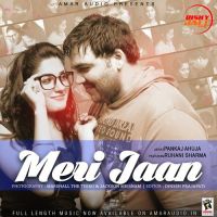 Meri Jaan Pankaj Ahuja MP3 Song, Meri Jaan Album