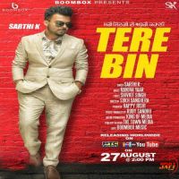 Tere Bin Sarthi K MP3 Song, Tere Bin Album