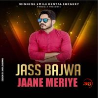 Jaane Meriye Jass Bajwa MP3 Song, Jaane Meriye Album