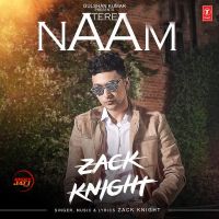 Tere Naam Zack Knight MP3 Song, Tere Naam Album